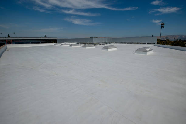 Best Solar Panel Roofing Installation  in Sealy, TX