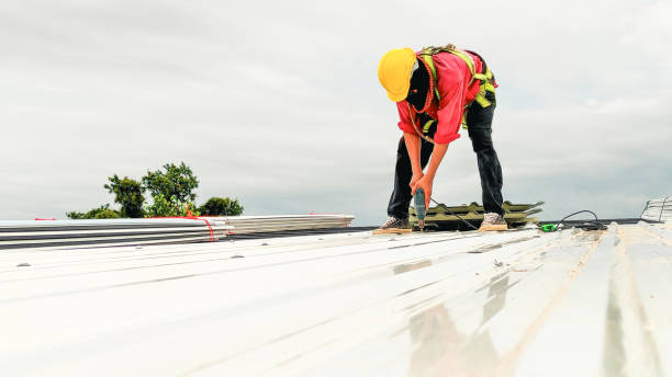 Best Roof Insulation Installation  in Sealy, TX