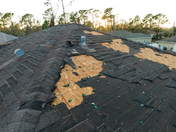 Best Roof Waterproofing  in Sealy, TX