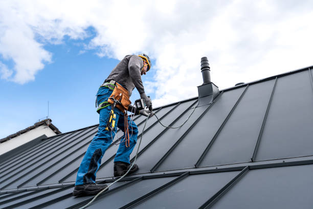 Best Roof Ventilation Installation  in Sealy, TX